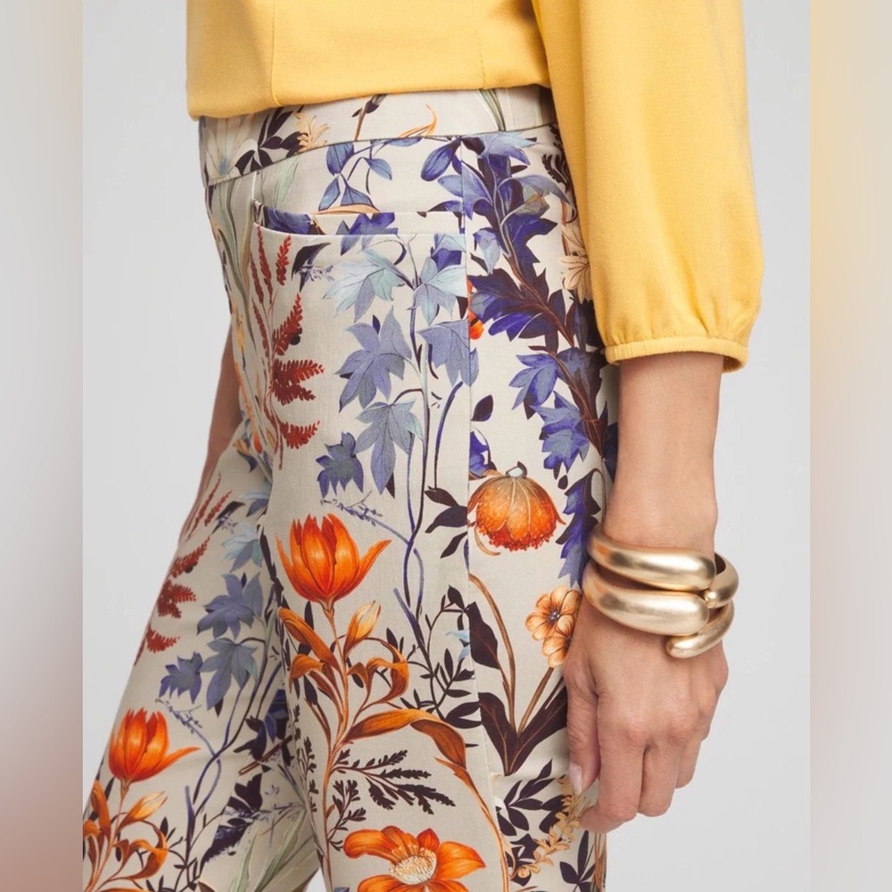 Chico’s Brigitte Autumn Print Ankle Pants Size 8 Boho Chic Floral Casual Office